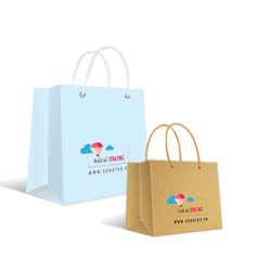 Túi giấy 001